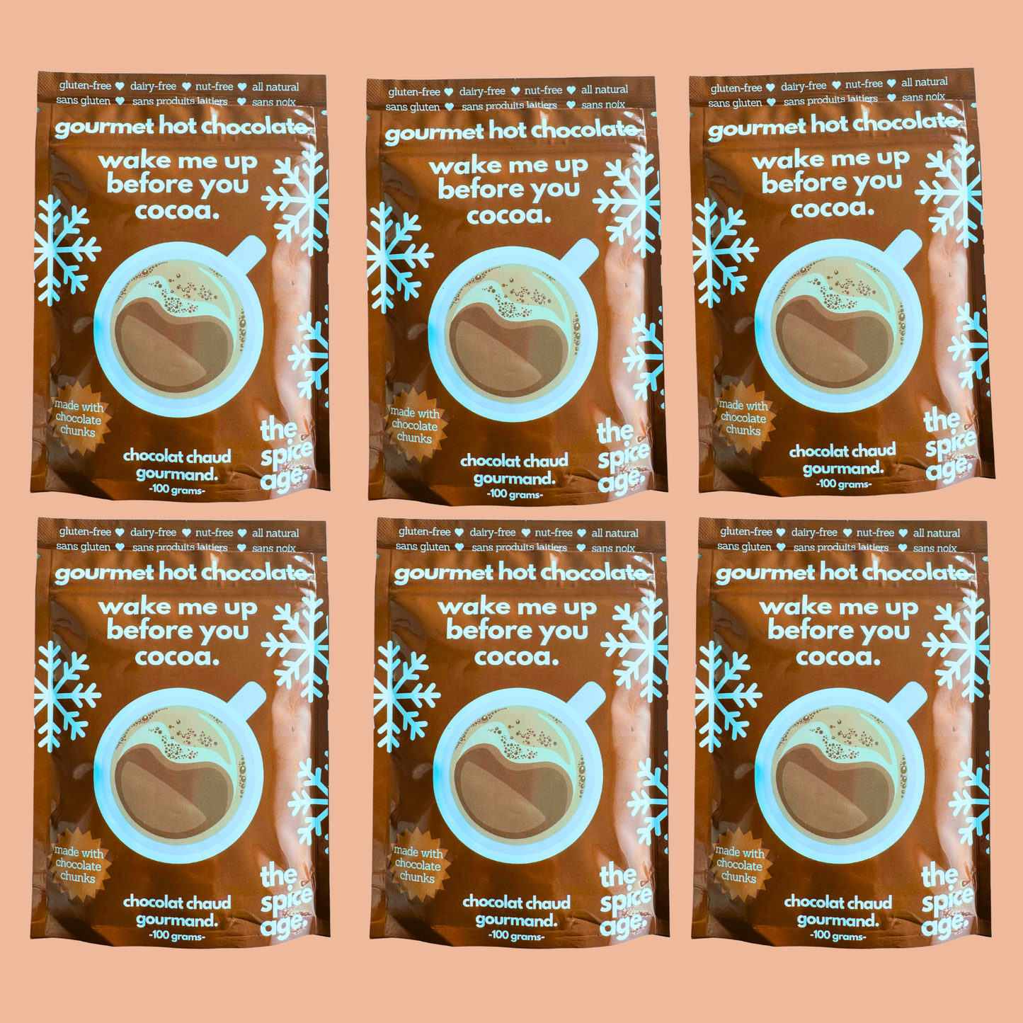 6-PACK Gourmet Hot Chocolate (4-6 cups)